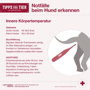 Notfälle bei Hunden erkennen