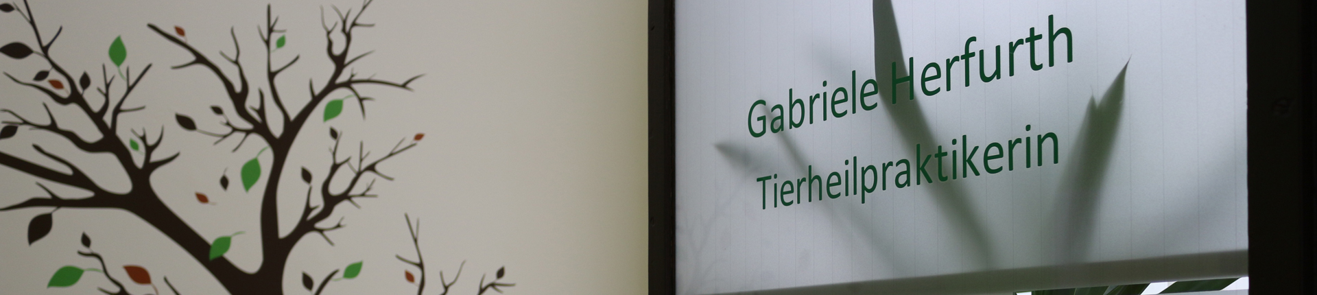 Praxisräume Tierheilpraktikerin Gabriele Herfurth