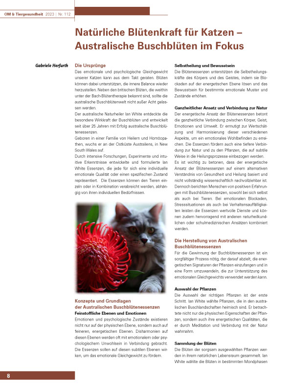 Natürliche Blütenkraft für Katzen – Australische Buschblüten im Fokus