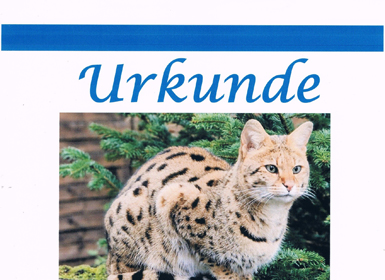 Praxis.News: Tierpatenschaft im Kobelt-Zoo